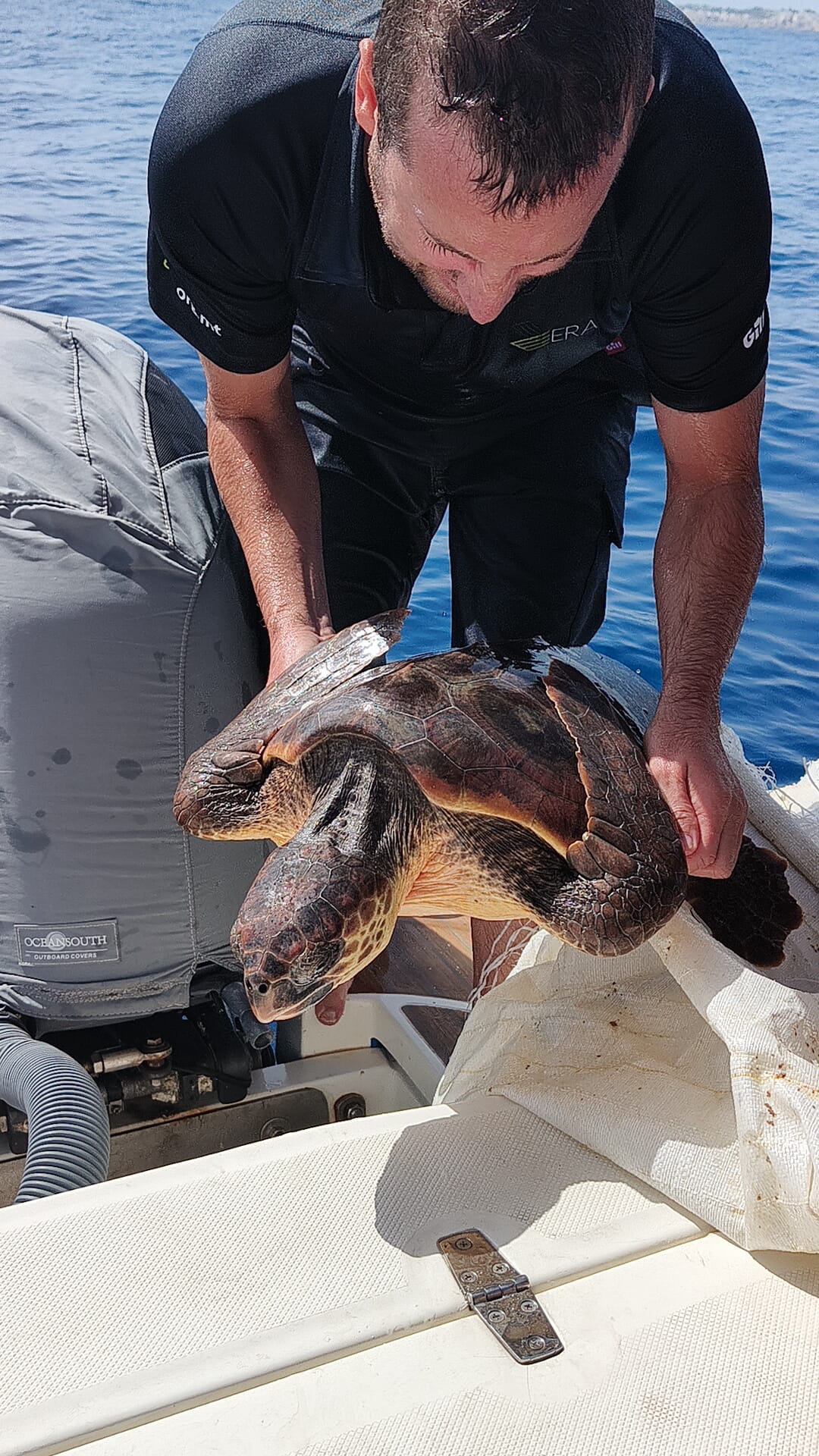 Turtle Officer Turtle rescued by ERA officers on Duty - ERA