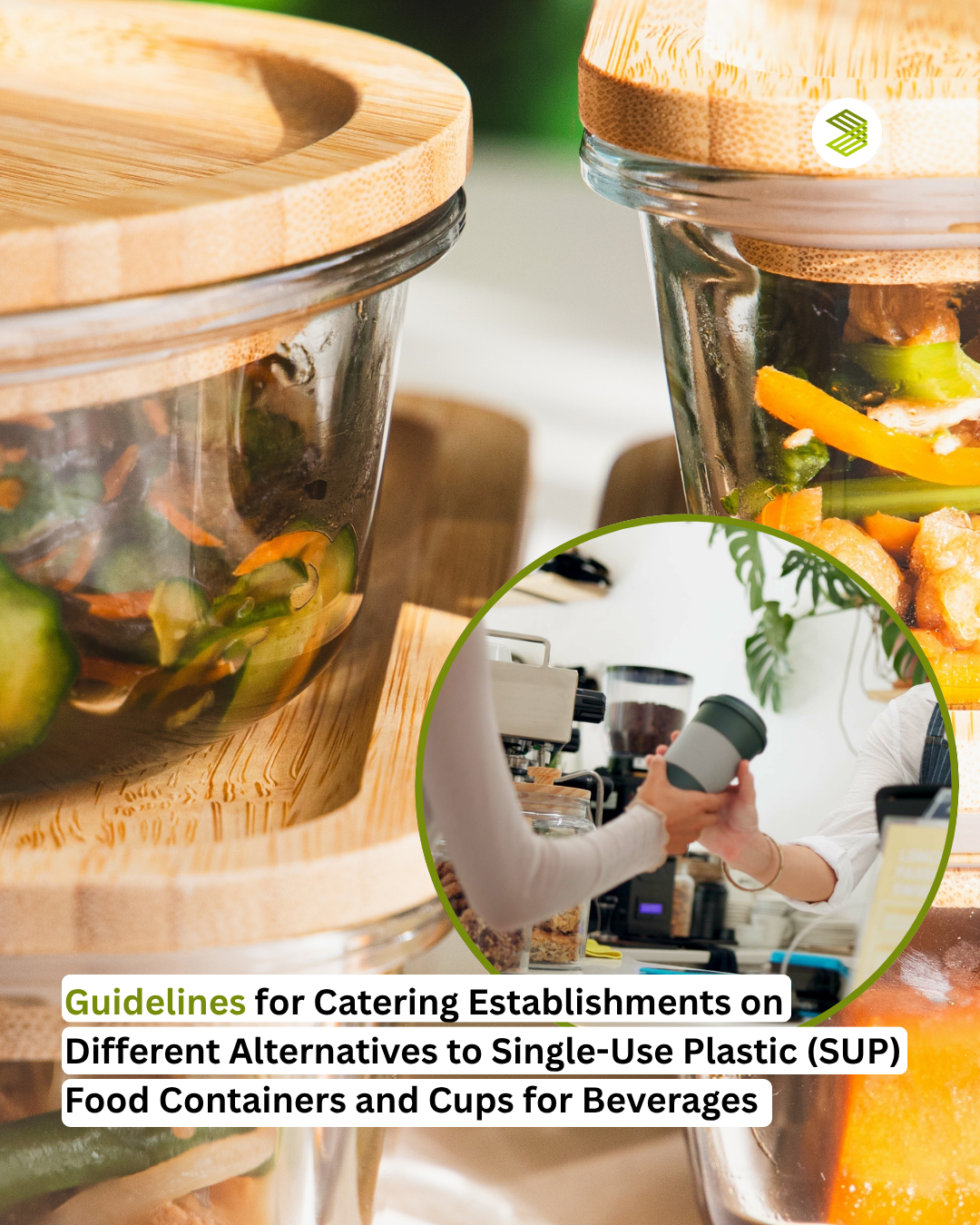 Guidelines for Catering Establishments on Different Alternatives to Single-Use Plastic (SUP) Food Containers and Cups for Beverages