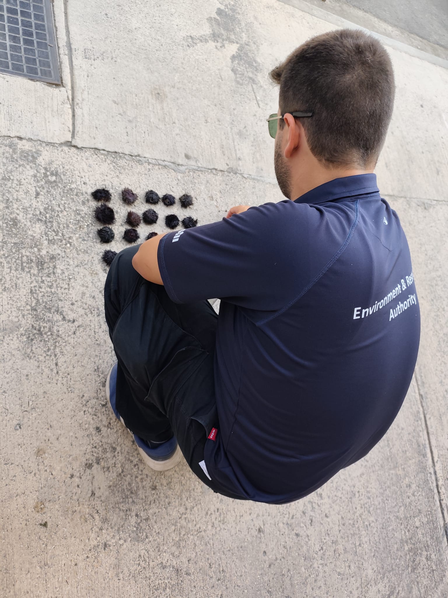 ERA takes action against illegal sea urchin harvesting in Marsaskala