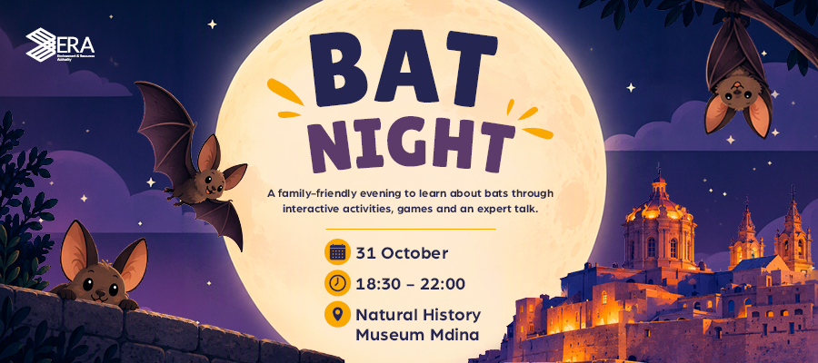 bat night